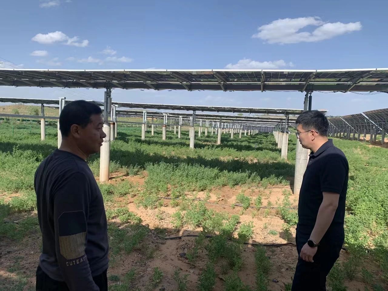 微信图片_20230918122302 微信图片_20230918122302