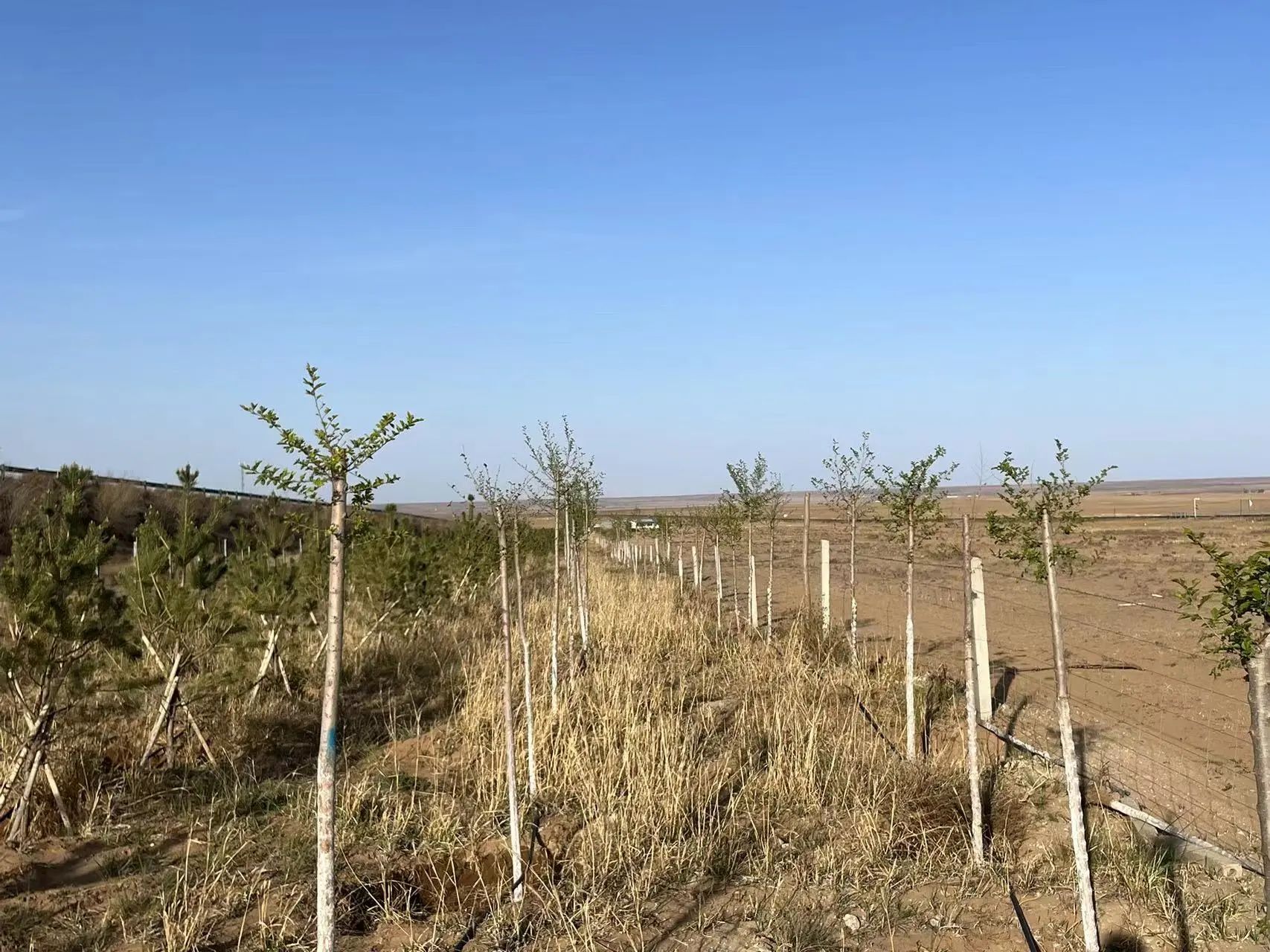 微信图片_20230918122652 微信图片_20230918122652