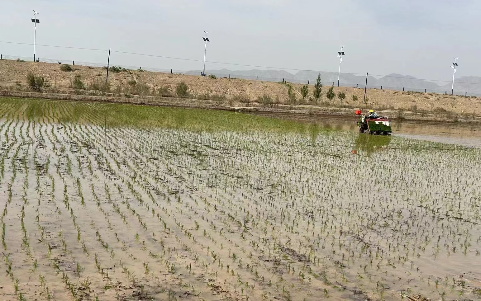 4a56554decad0e335e235a619b85cbb.jpg 4a56554decad0e335e235a619b85cbb.jpg