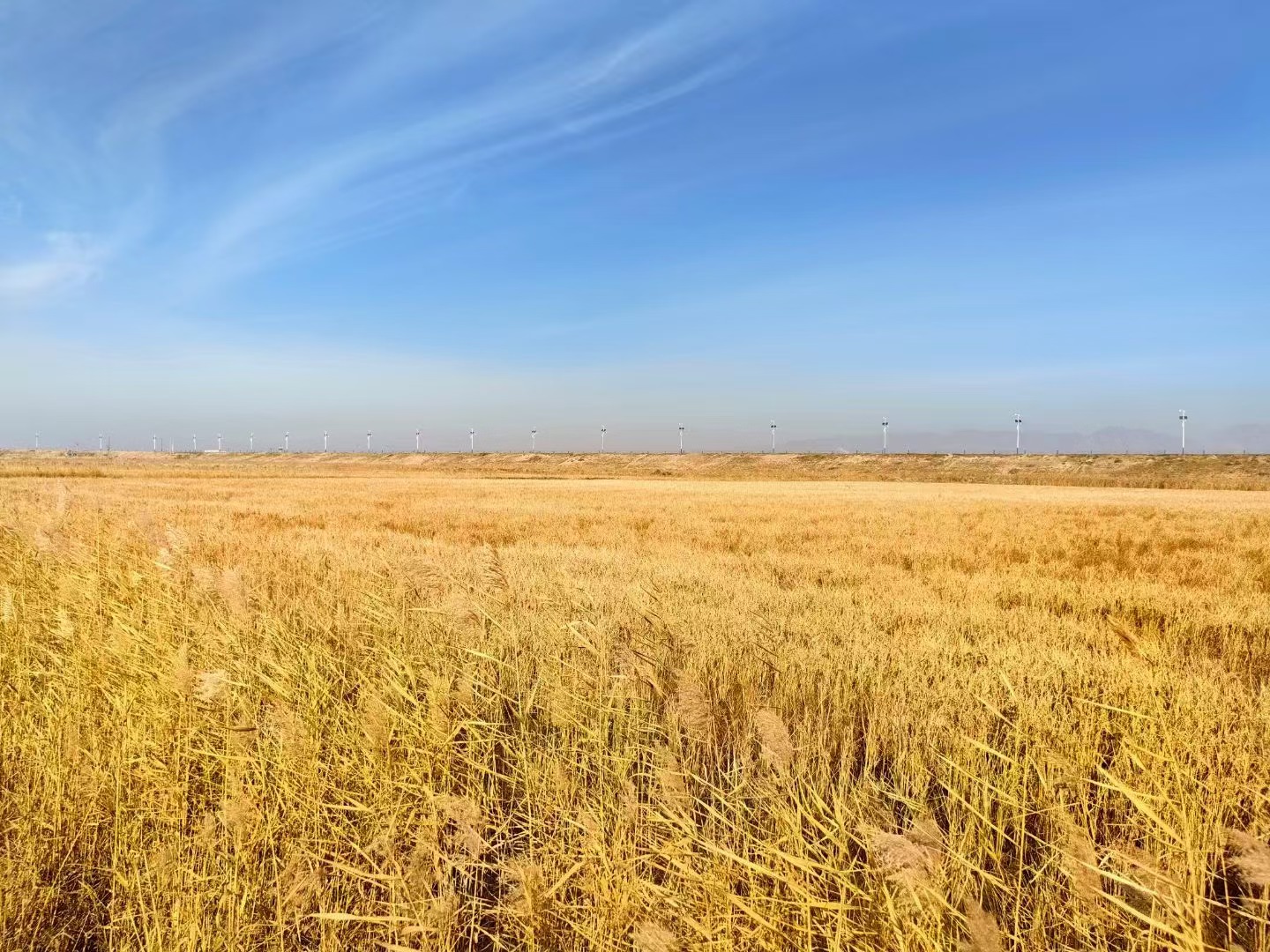 微信图片_20241031162442 微信图片_20241031162442