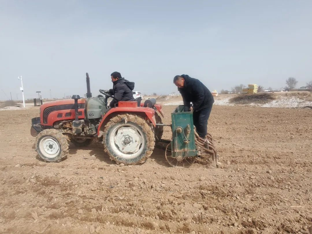 图片2png 图片2png